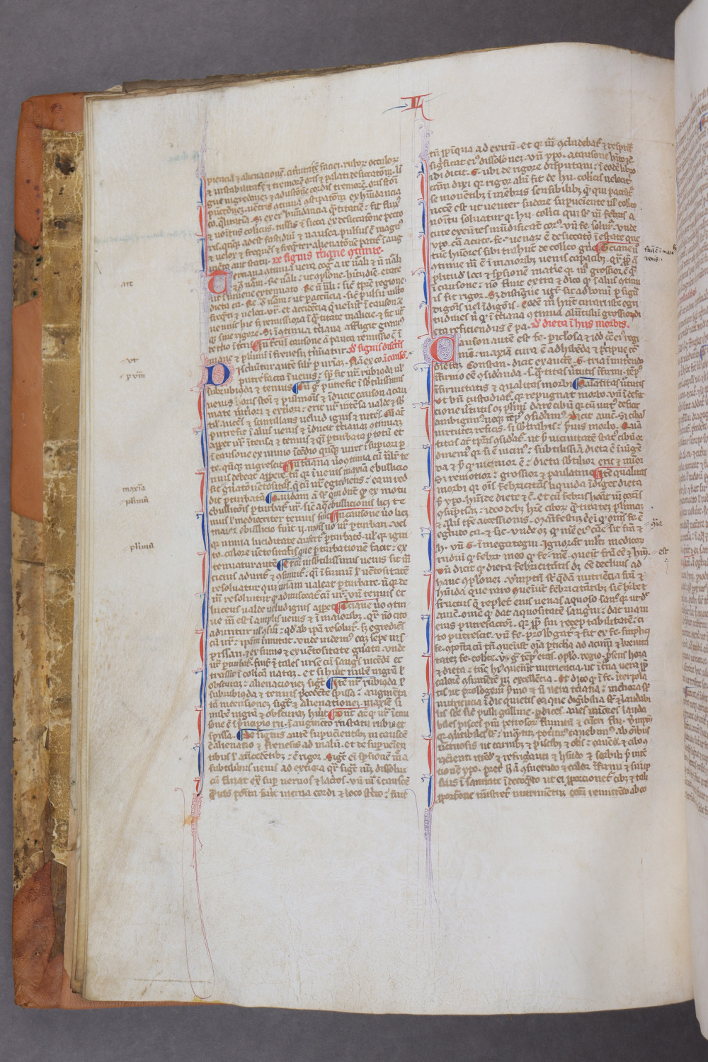 Folio 9 verso